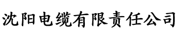 夫妻生活香蕉影院电缆厂logo